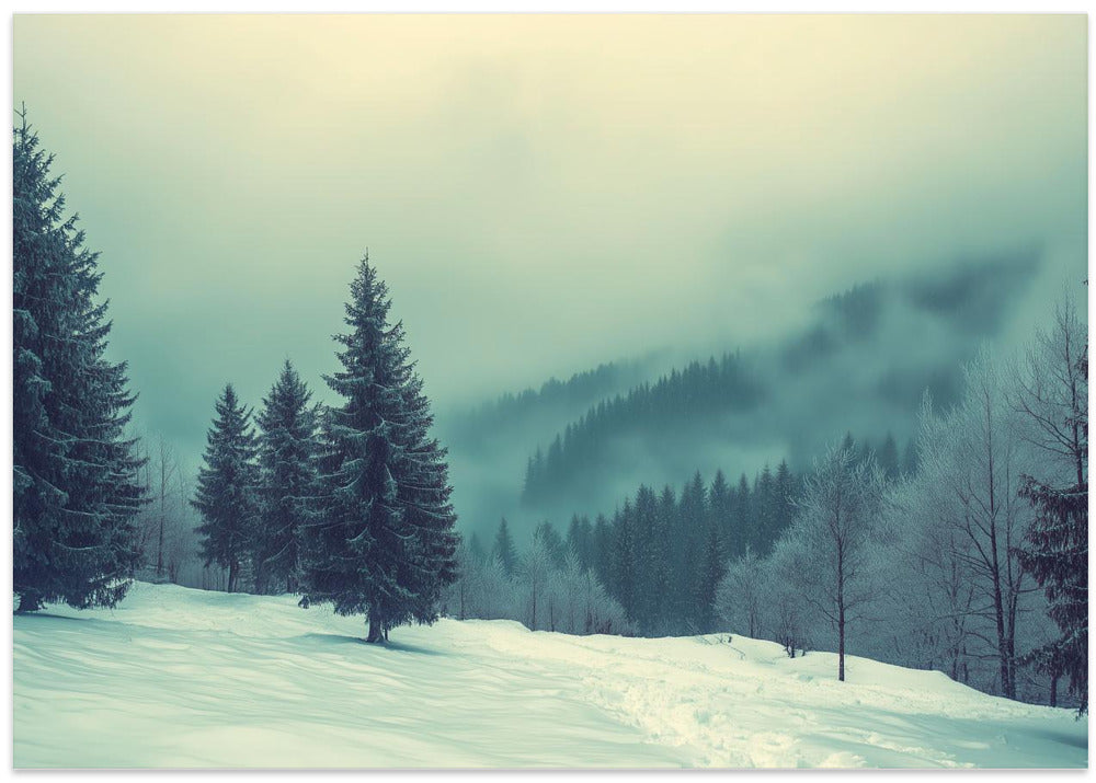 Pine Tree Winter Landscapes