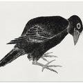 Bird, From Album of Sketches (1814) Vintage Japanese Woodblock Prints