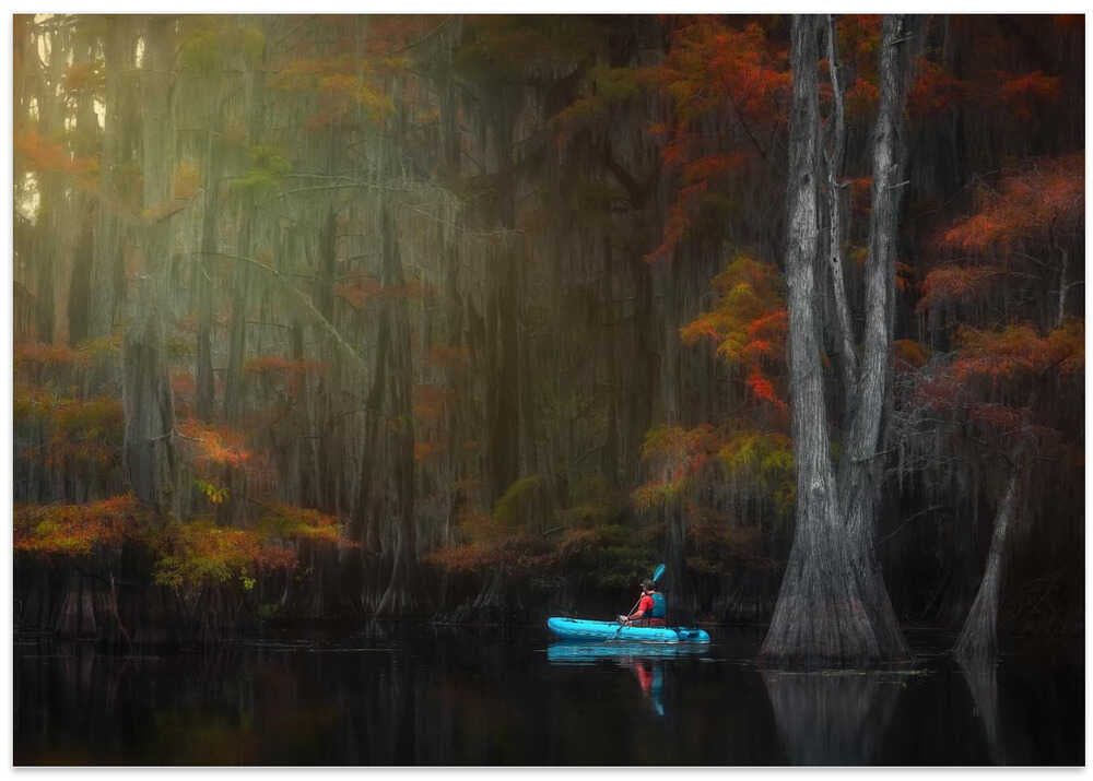 Caddo Lake 4