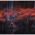 Caddo Lake 5