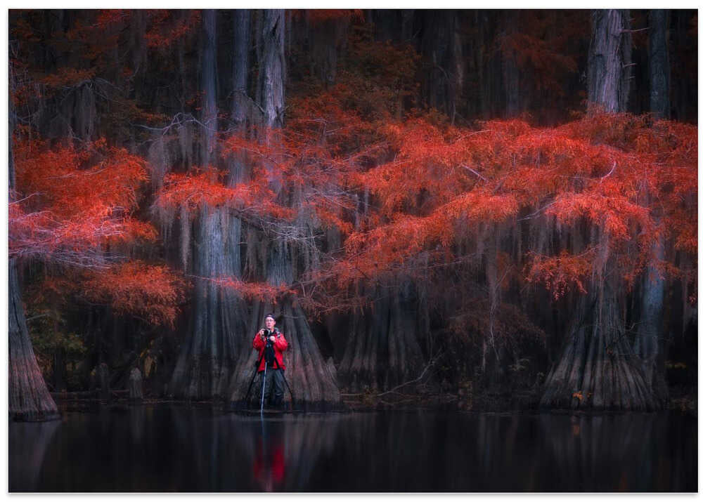 Caddo Lake 5