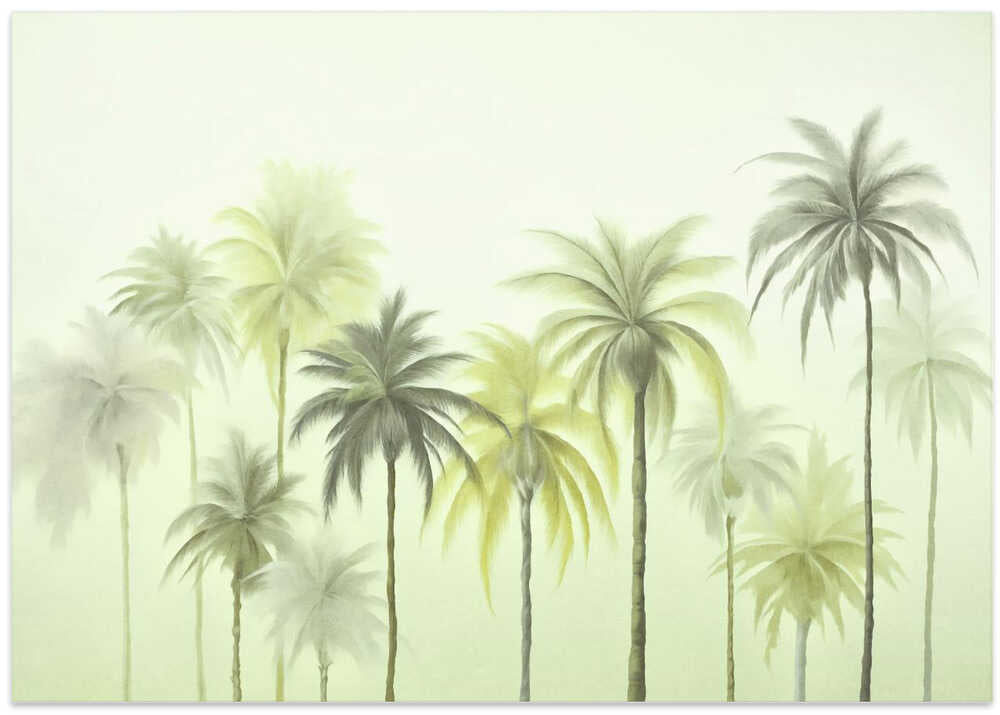 Tropical Palm Cove Ii