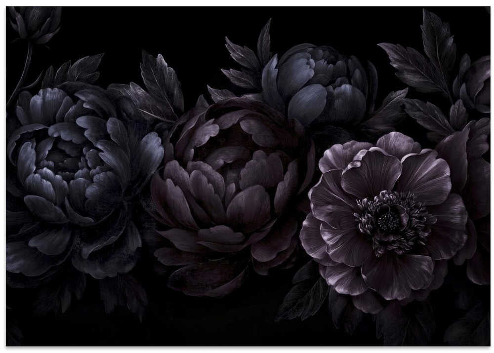 Nocturnal Flower Drama Iii