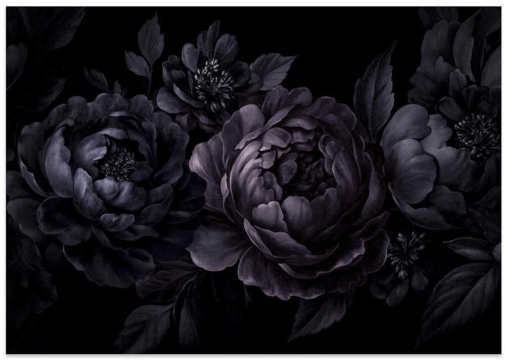 Nocturnal Flower Drama Ii