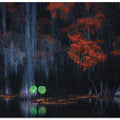 Caddo Lake 10
