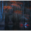 Caddo Lake 13