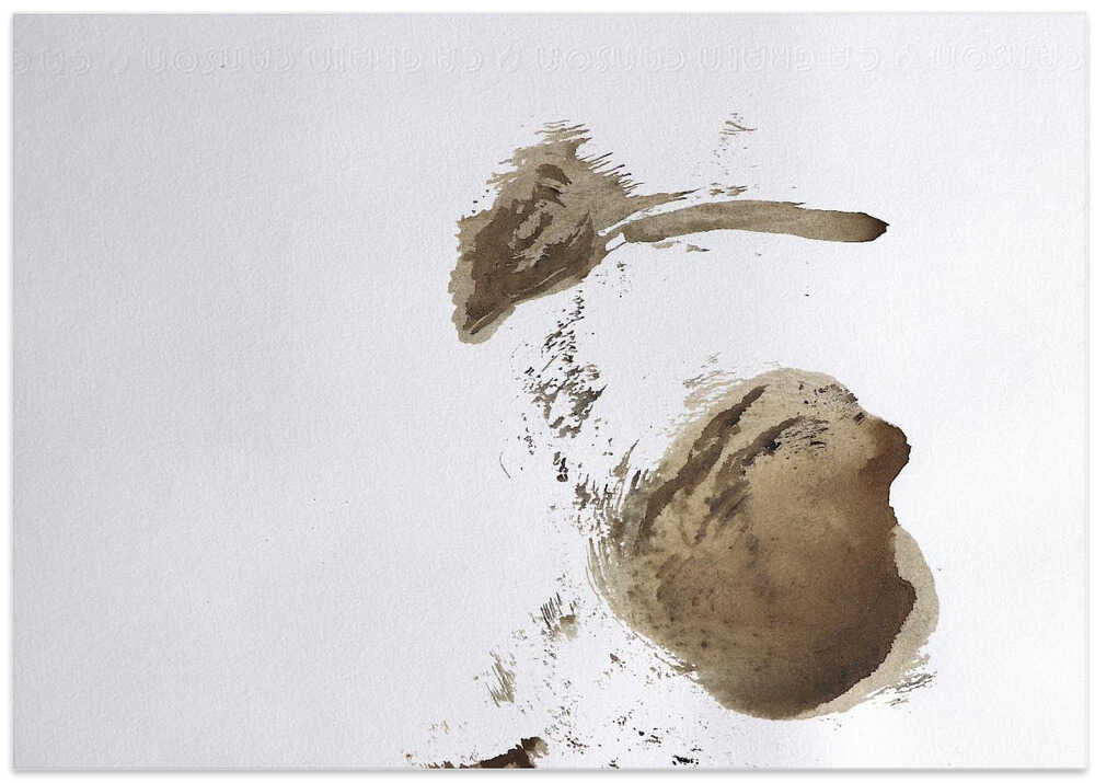 Gentle Brush Whisper