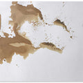 Coffee Spill Dream