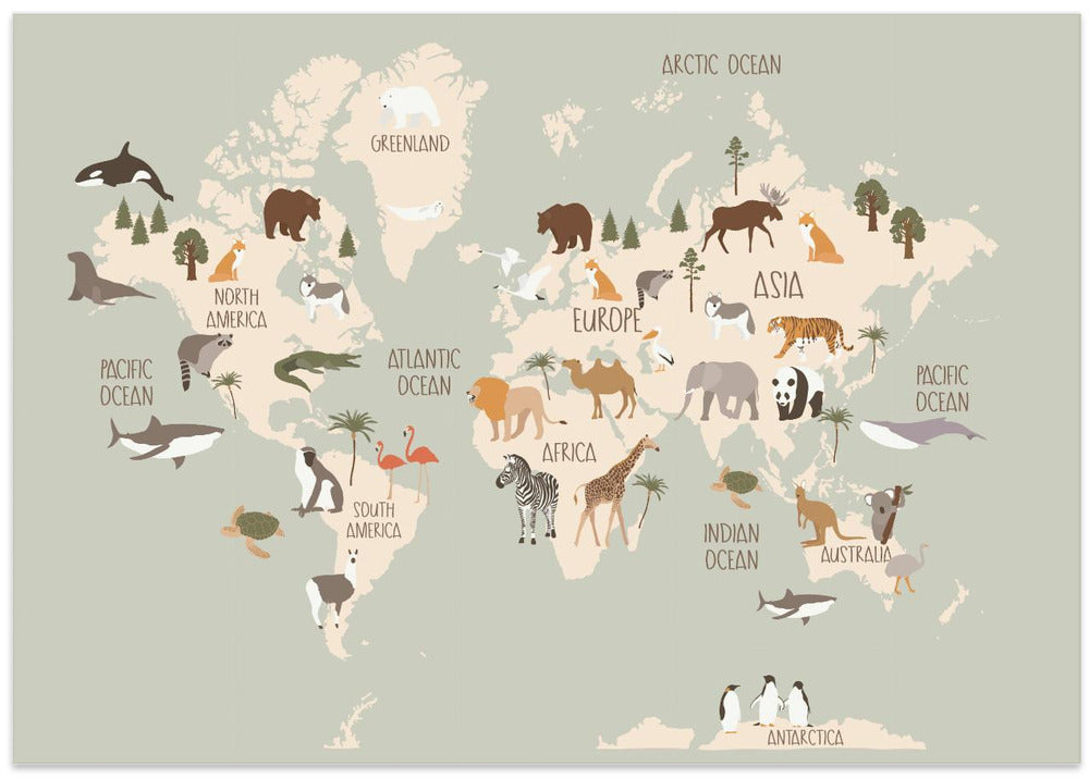 Wildlife World Map