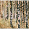 Morning in birch forest