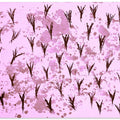 Blossom Patterns