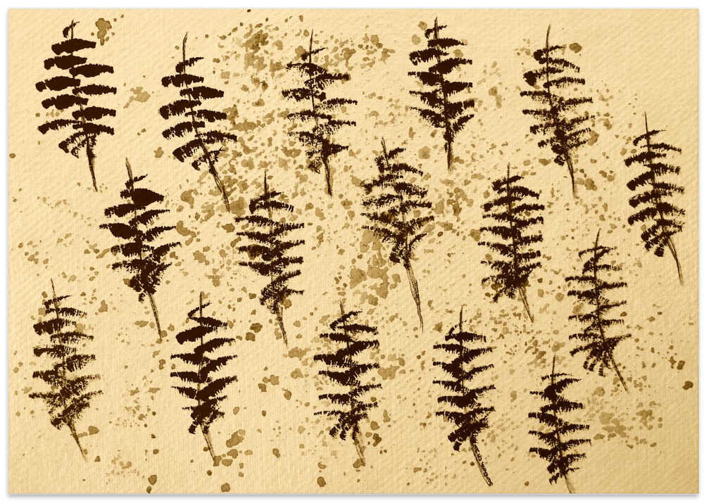 Fern Dance Shadows
