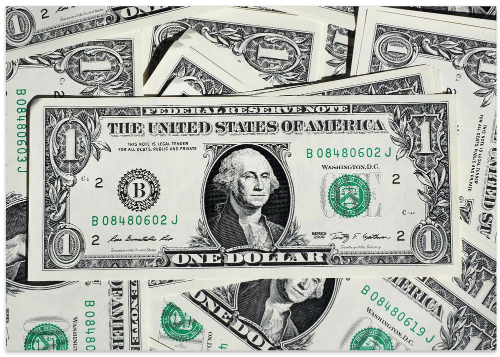 Dollar Bill Greenback