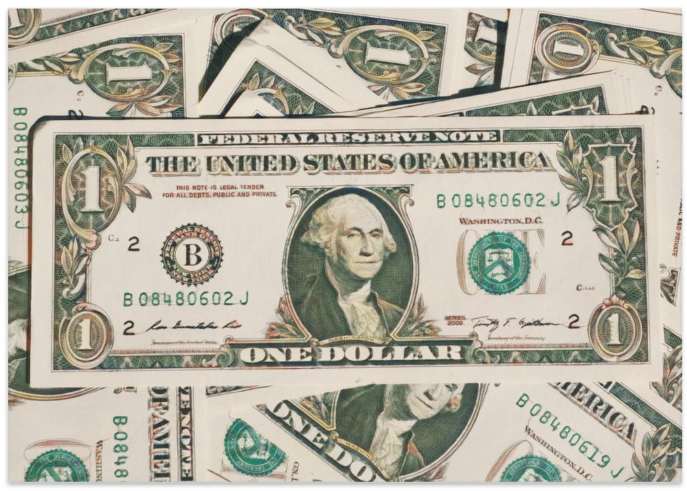 Dollar Bill Greenback