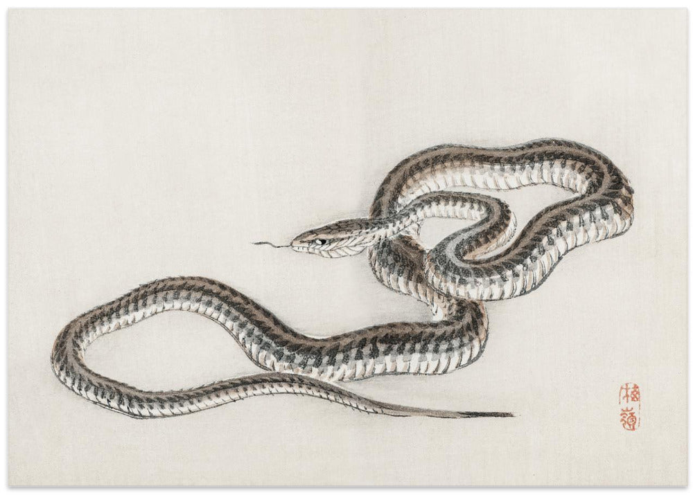 Snake By Kōno Bairei (1844 1895)