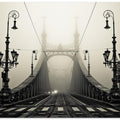 Art Prints of The Bridge