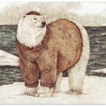 Polar Sailor