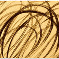 Black Swirls On A Golden Background