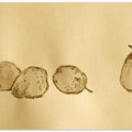 Four Pears, One Apart