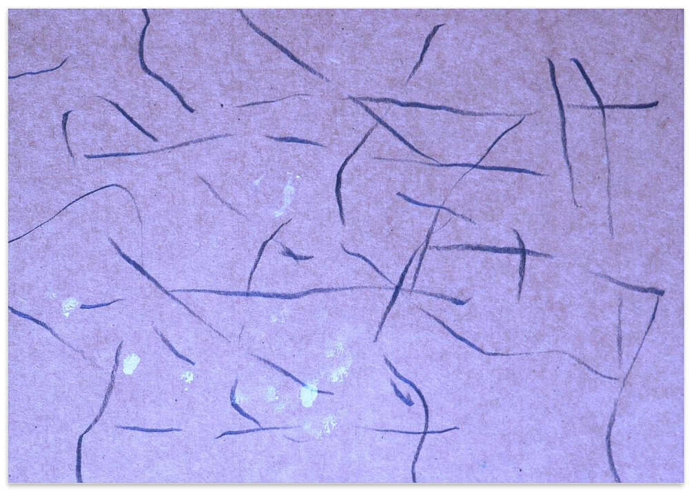 Whispers of Twilight