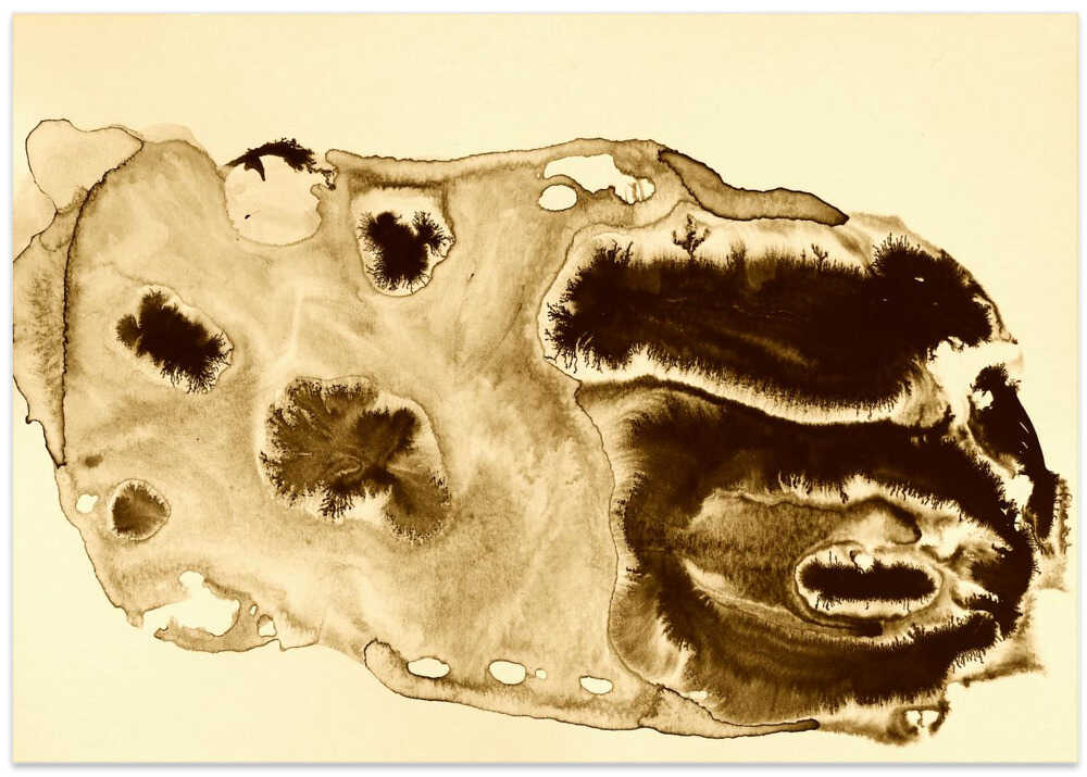 Organic Forms And Earth Tones