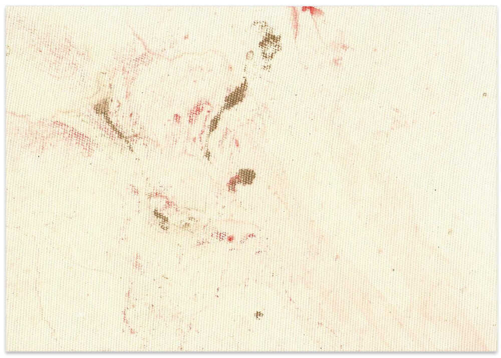 Whispers of Serenity