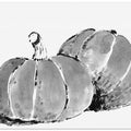 Charcoal Pumpkins