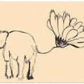 Elephant Blossom