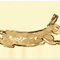 Leaping Rabbit Sketch
