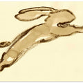 Leaping Rabbit Sketch