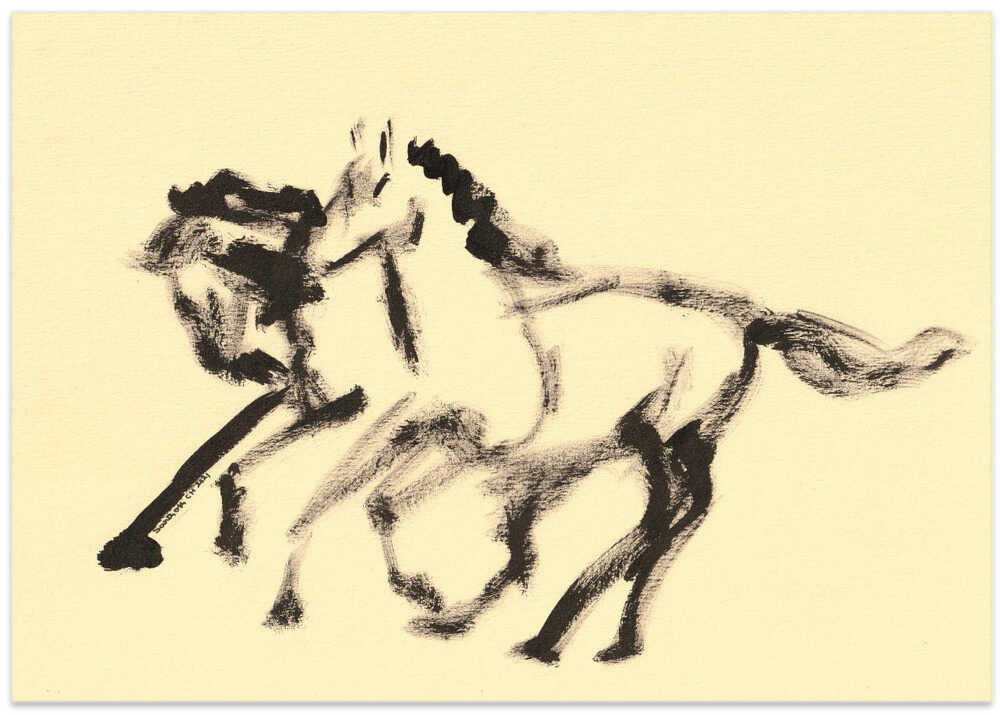 Equine Motion Echoes