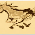 Galloping Horse in Motion