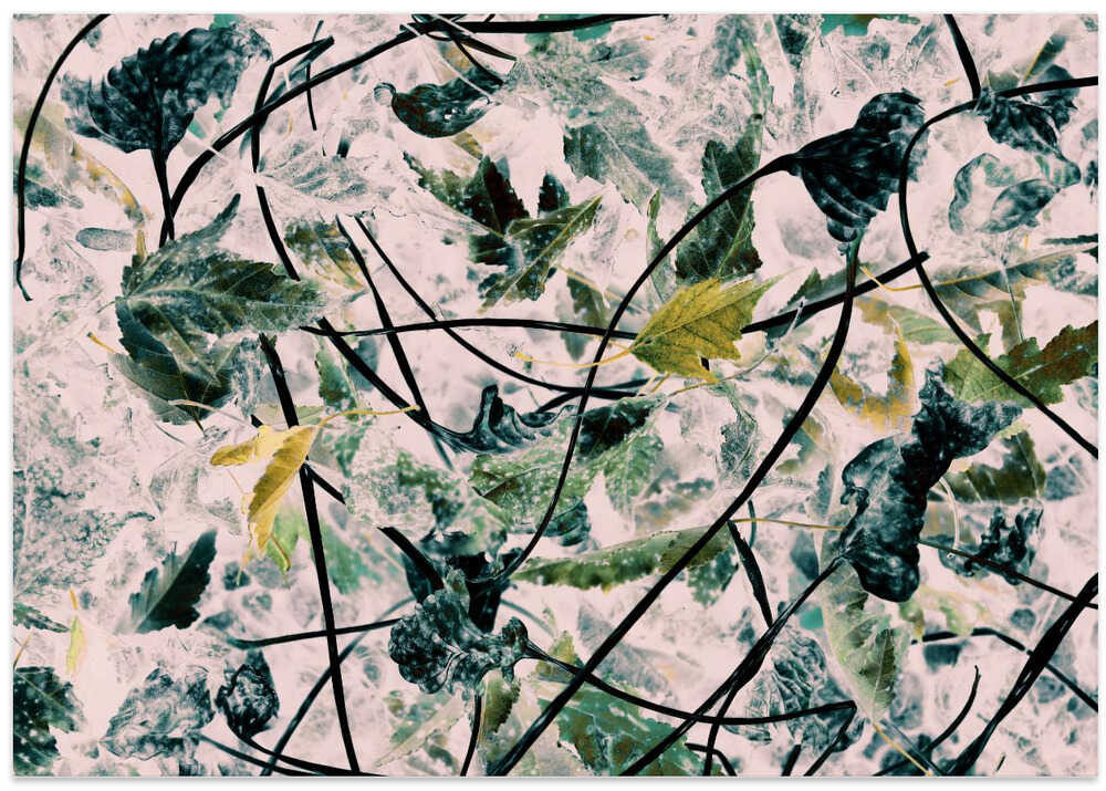 Vibrant Leaves and Tangled Branches