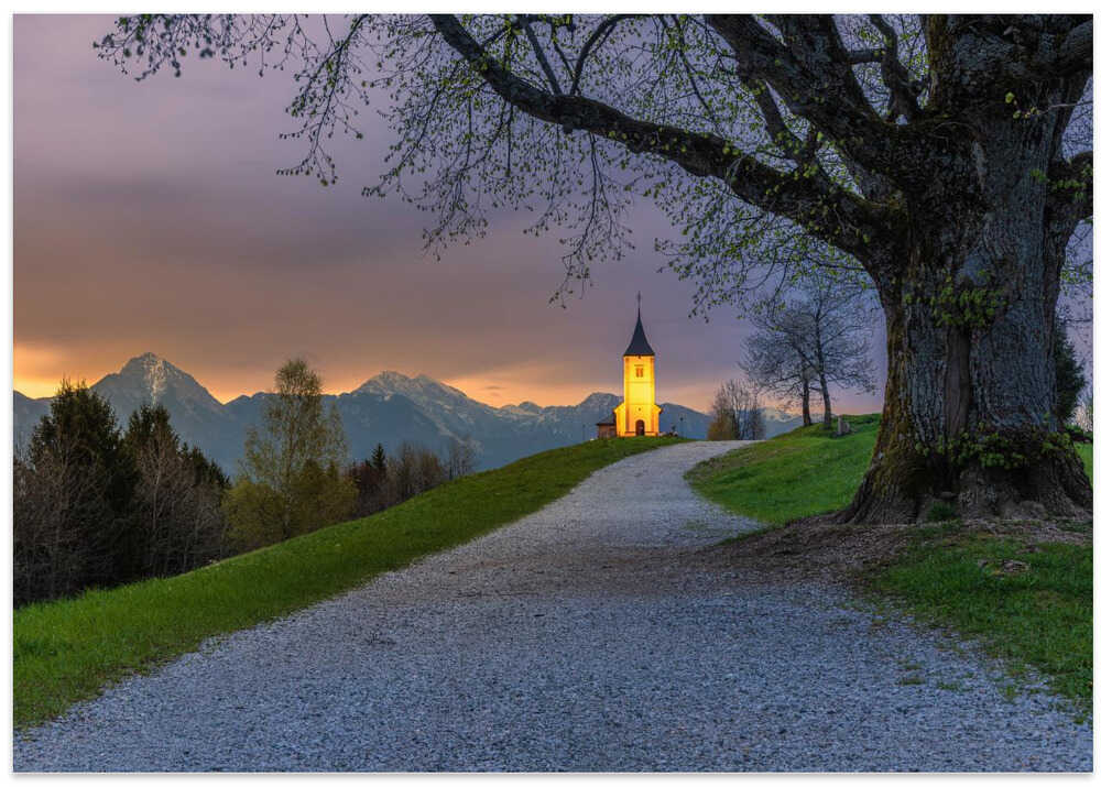 April Jamnik morning