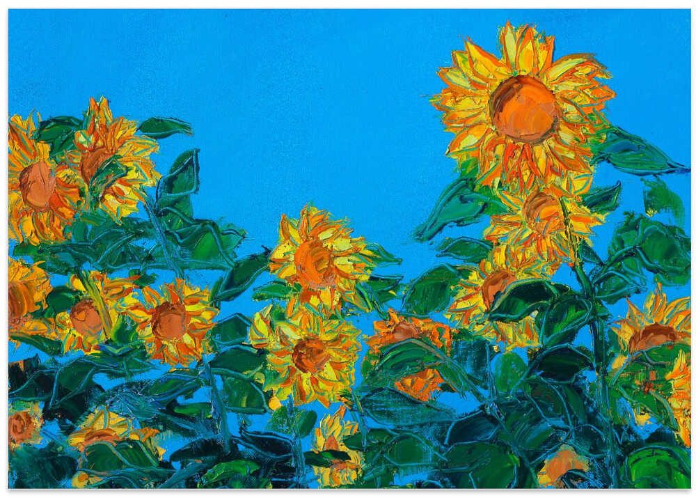 Sun Flower Oil On Canvas