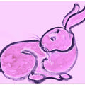 Pink Bunny Bliss