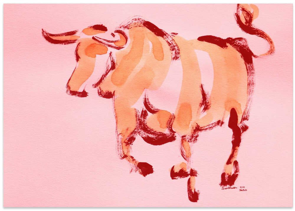 Boisterous Bull Dance