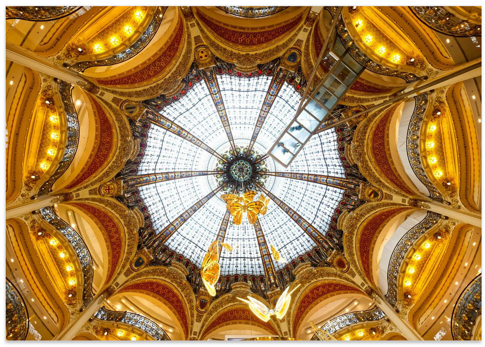 Butterflies in the dome