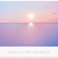 Collectthesunshine