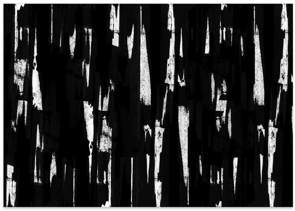 Urban Pulse: cartissi's Dynamic Monochromatic Collection No.2