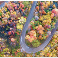 Winding Fall Road from Above