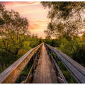 Bridge in jungle looking landscape