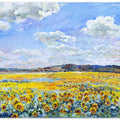 Sunflowers field