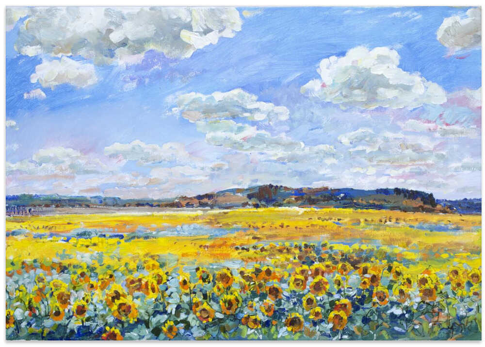Sunflowers field