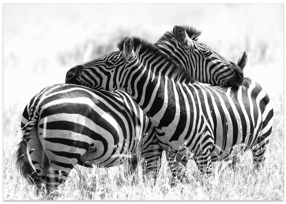 Love in black and white