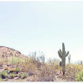 Phoenix Desert Landscape