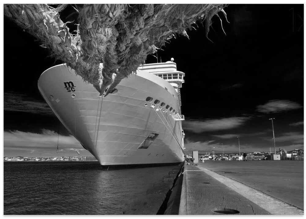 The mouse's point of view