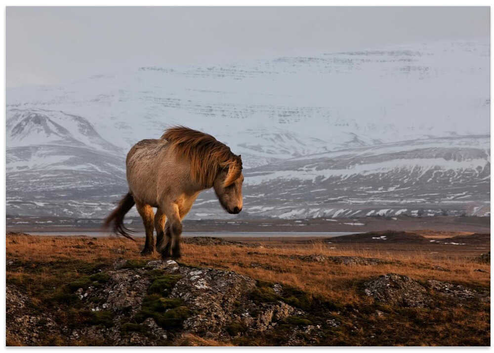 A gleam from the sun