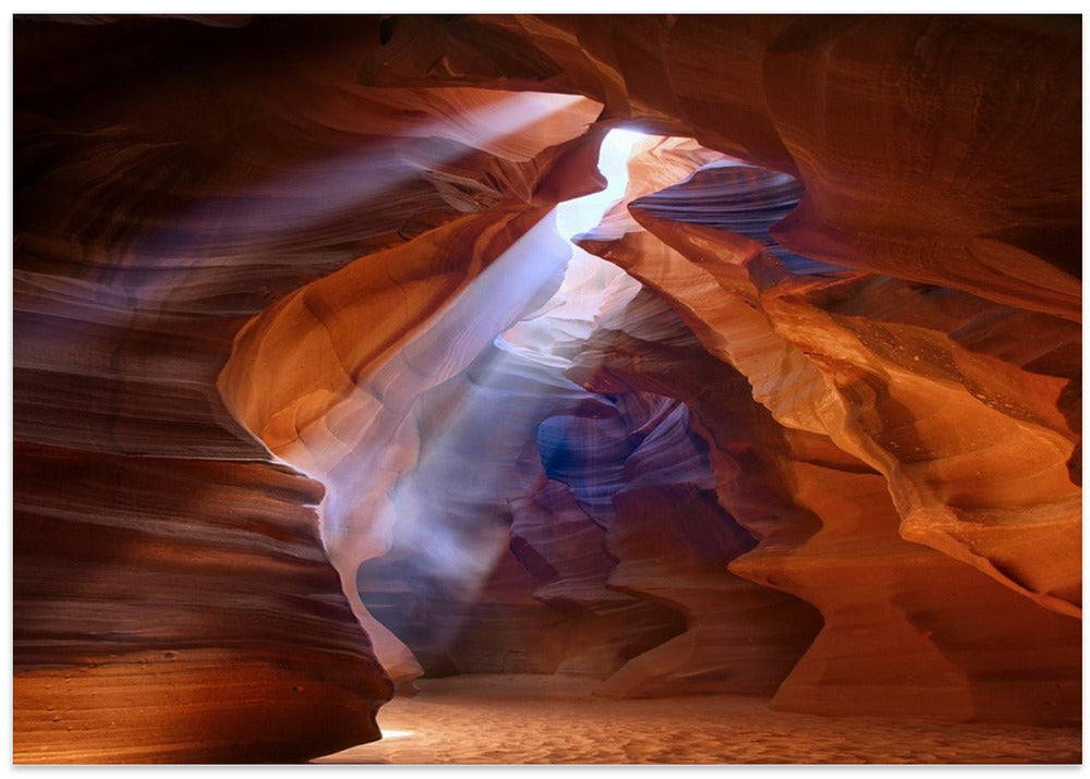 Pure Photodelight  2