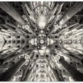 Art Prints of Artificial forest - Sagrada Familia